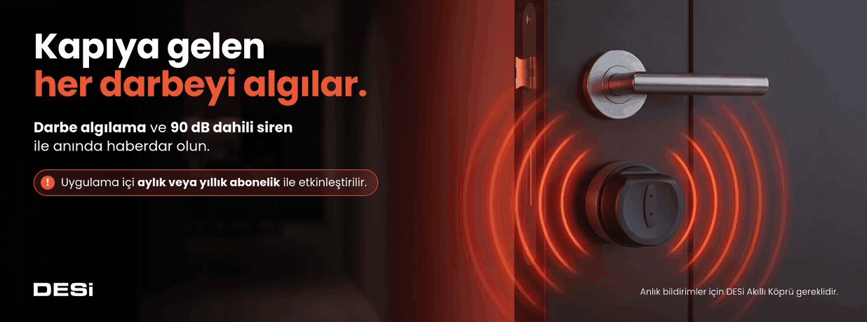 DESi RX dahili alarm