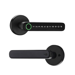 DESi QUiC Q002 Akıllı Kapı Kolu iOS/Android Uyumlu - Parmak İzi -Tuş Takımı - DESi Akıllı Kilit