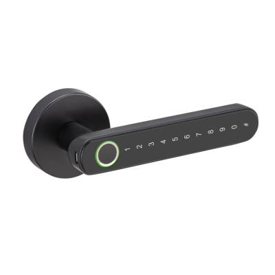 DESi QUiC Q002 Akıllı Kapı Kolu iOS/Android Uyumlu - Parmak İzi -Tuş Takımı - 2