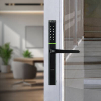 DESi QUiC Q003 Akıllı Kilit iOS/Android Uyumlu - Parmak İzi - Tuş Takımı - Kart Okuyucu - 6